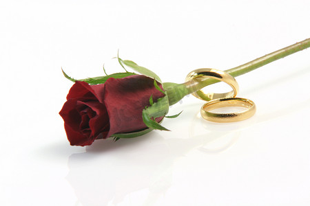 玫瑰和戒指