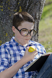 在树林里读书的小男孩，田野很浅