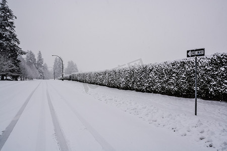 有长的绿色树篱的多雪的单向路在雪的在边。