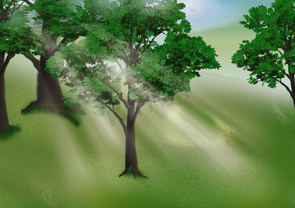 手绘树木树木背景摄影照片_清晨的格罗夫