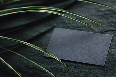 黑色名片平铺在深石背景和绿色异国情调的叶子上，豪华品牌平铺和品牌标识设计模型