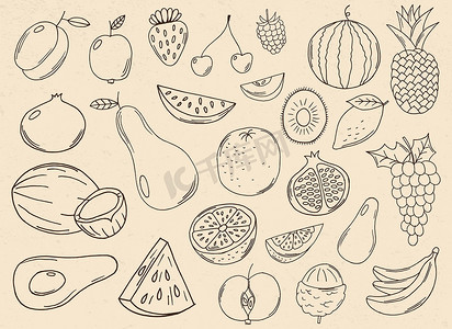 背景上孤立的手绘水果采集矢量设计插图