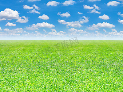 财神新年背景海报摄影照片_绿色的田野和蓝天背景