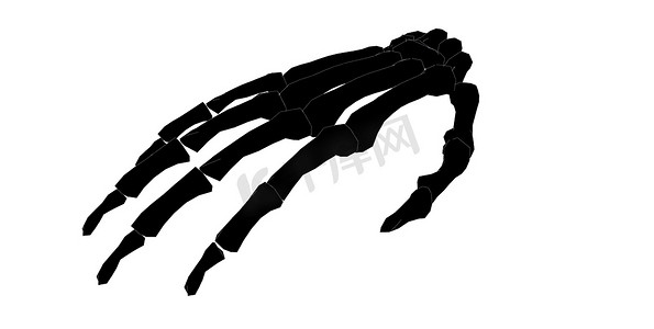 人体白色摄影照片_黑色和白色孤立背景下前臂的特写后视图