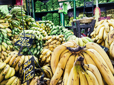 市场上出售的香蕉带有标明所售香蕉类型的标志：