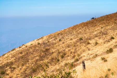 Doi Inthanon，清迈，泰国高山稀树草原草原