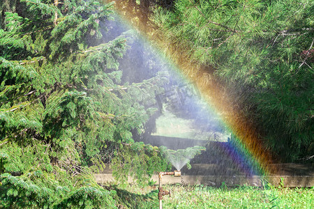 花园里喷水形成的彩虹。
