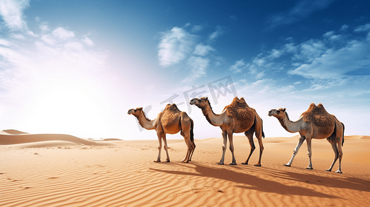 白天沙漠中的棕色骆驼