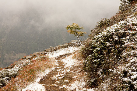 雪飘在阿尔卑斯山