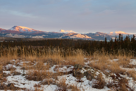 北方地区摄影照片_加拿大育空地区冬季荒野景观