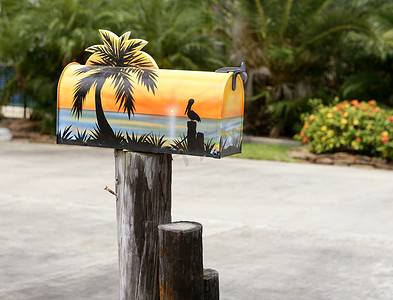 带有热带海漆的趣味艺术邮箱