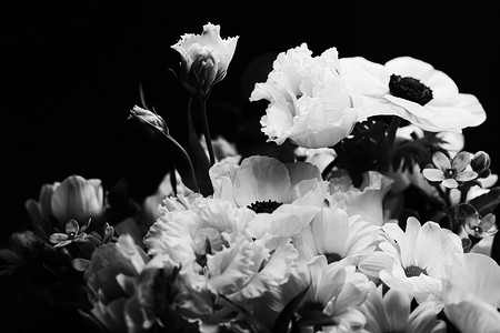 作为美好的插花、创造性的花和植物学设计的花束，经典黑白单色
