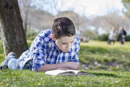 读书成长手册摄影照片_在树林里读书的小男孩，田野很浅