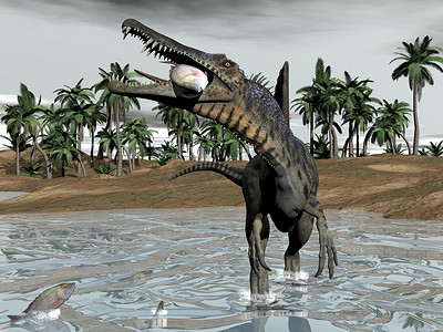 吃鱼的棘龙恐龙 — 3d渲染