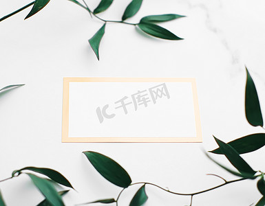 空白的白色和金色卡片、白色背景上的绿叶作为植物框架平面、婚礼邀请和品牌、平面布局设计