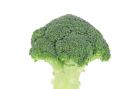 brokoli摄影照片_新鲜的西兰花蔬菜。