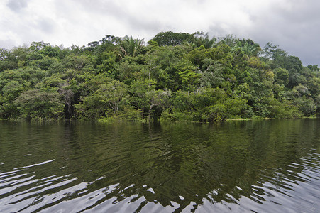 亚马逊河倒影，巴西，南美