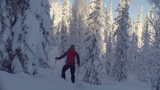 一个人在白雪皑皑的森林里滑雪。