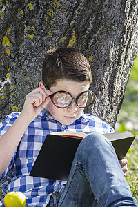 在树林里读书的小男孩，田野很浅