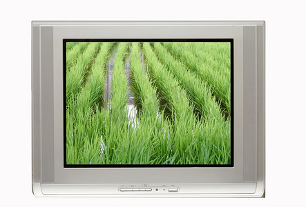 crt显示器摄影照片_电视和稻田显示器