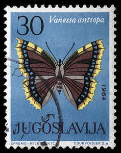 蝴蝶邮票摄影照片_在南斯拉夫打印的邮票显示蝴蝶