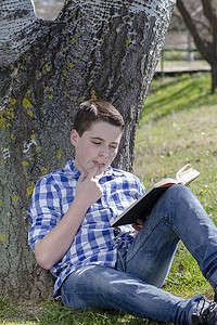火龙果树林摄影照片_在树林里读书的小男孩，田野很浅