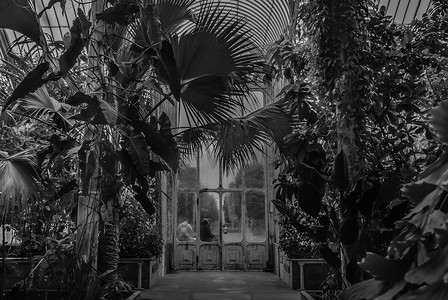 邱园棕榈屋美丽的出口门（皇家植物园）