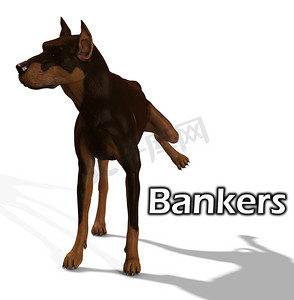 讨厌银行家的狗