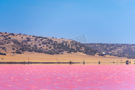 粉红湖摄影照片_沙漠前西澳大利亚格雷戈里旁边的粉红湖