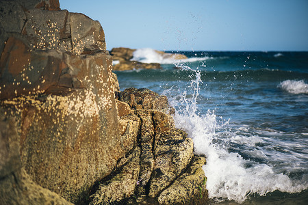 阳光海岸努萨的阳光海滩