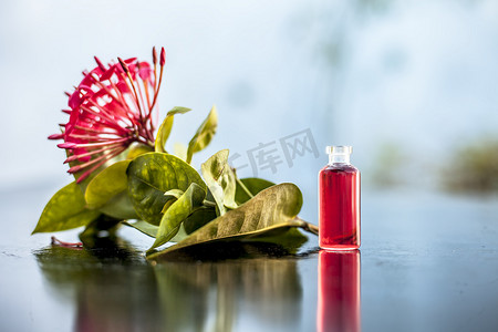 木质表面的红色五角花或埃及星花或茉莉花，其在小透明玻璃瓶中提取的有益花香精或精油。