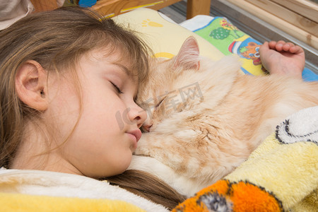 一个女孩和猫的摄影照片_一个女孩和一只猫在床上甜甜地睡着，特写