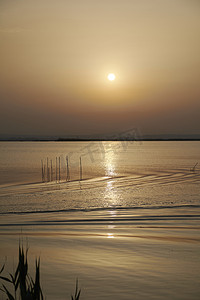 大湖夕阳，从芦苇丛中，