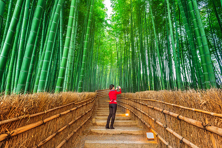 女人在日本京都的竹林拍照。