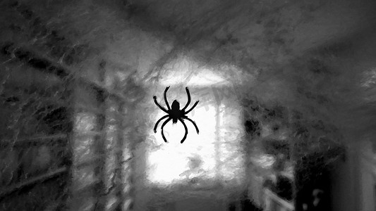 一只蜘蛛带着它的网下来。