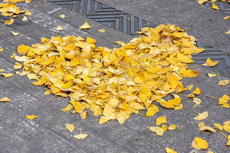黄色心形摄影照片_秋天街道上用黄色银杏叶做成的心形