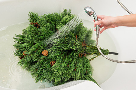 男人在浴室里洗一棵人造圣诞树