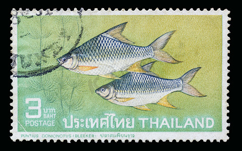 泰国 — 1967 年 1 月 1 日：Java 倒钩，邮资 o 上的银倒钩