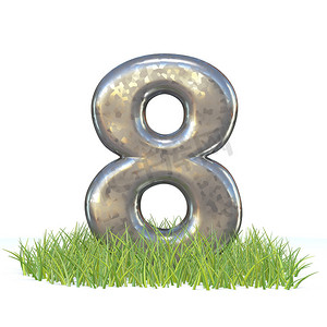镀锌金属字体 Number EIGHT 8 in grass 3D