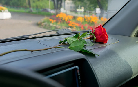 一朵红色的玫瑰花躺在车内的仪表板上