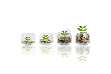 硬币和瓶装植物，商业投资增长和储蓄
