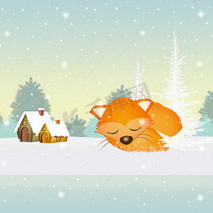 冬眠的狐狸摄影照片_冬天的红狐狸