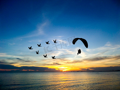 海上创意摄影照片_剪影飞鸟和动力伞在海上和日落天空
