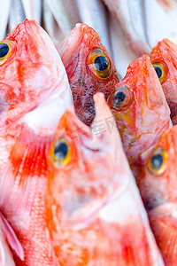 摩洛哥市场上的新鲜红鱼和其他海鲜准备就绪