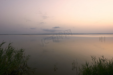 大湖夕阳，从芦苇丛中，