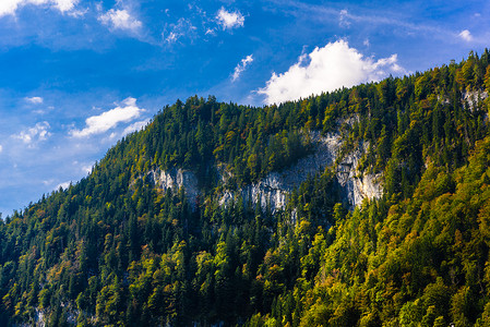 覆盖着森林的阿尔卑斯山，Schoenau am Koenigssee，Konigsee，贝希特斯加登国家公园，巴伐利亚，德国