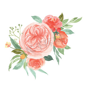 水彩花卉手绘花束郁郁葱葱的花朵 llustration 复古风格水彩画隔离在白色背景。