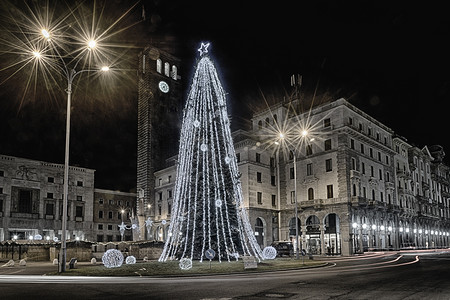 圣诞树木摄影照片_Monte Grappa Square, 瓦雷泽