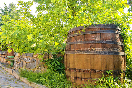 压榨摄影照片_旧酒压榨机和质朴的酒桶。欧洲的葡萄酒背景。
