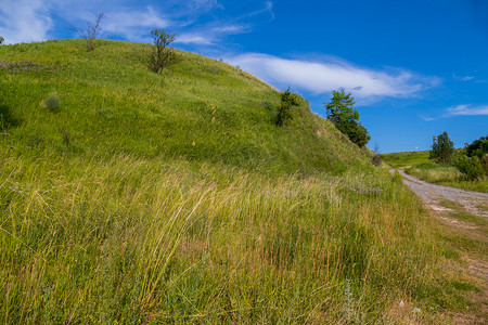 一个风景如画的小山丘，上面覆盖着绿草和稀有的灌木丛，下面是乡间小路。